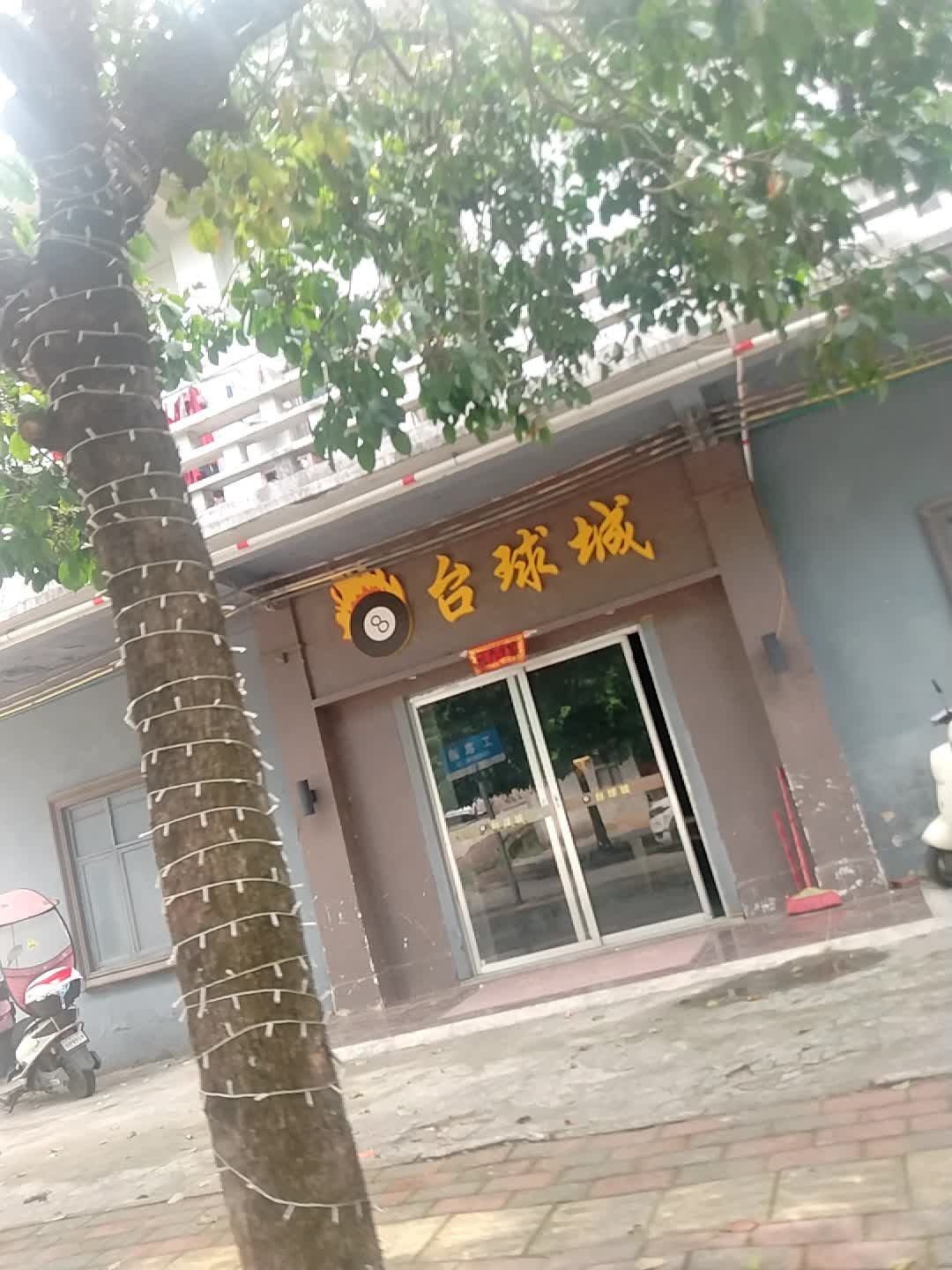 台球城