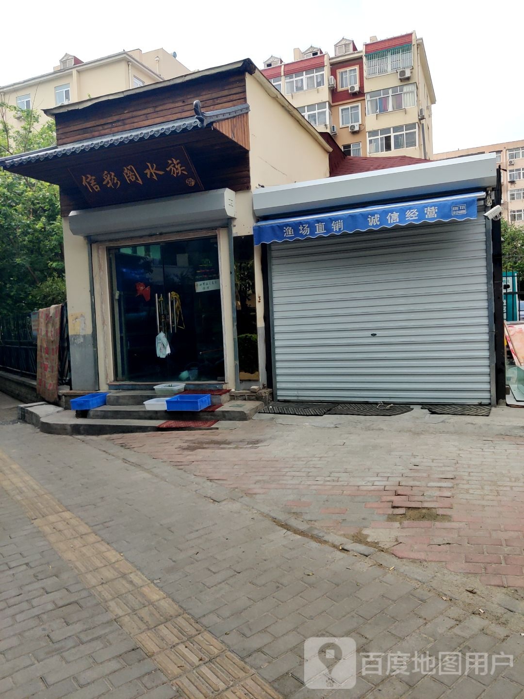 信彩阁水族