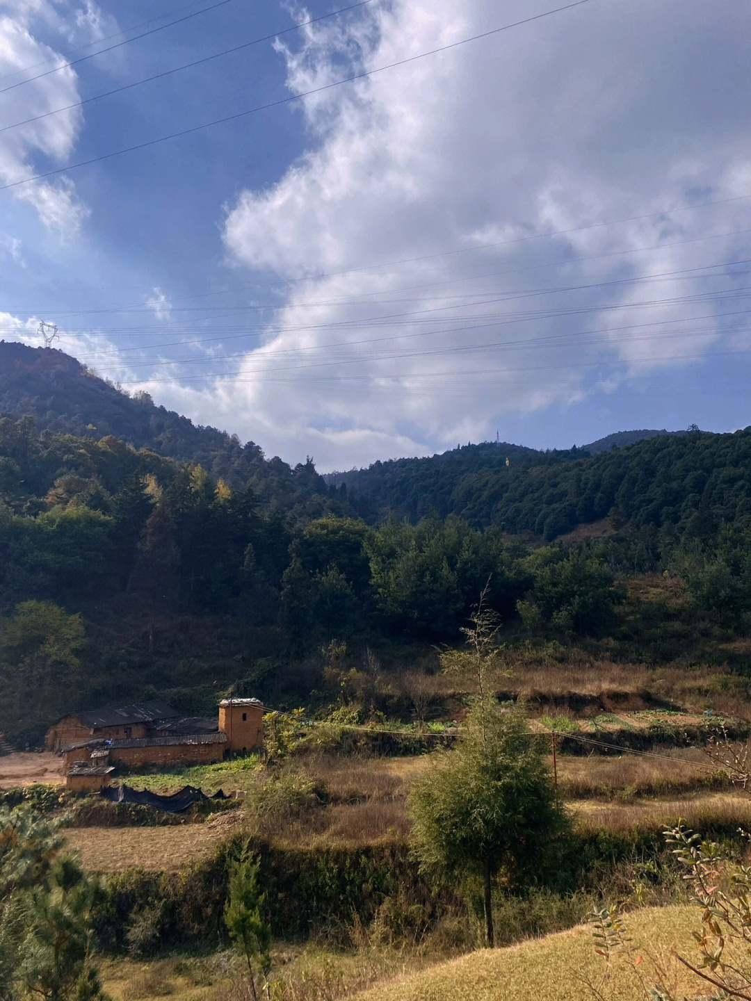 妙高寺