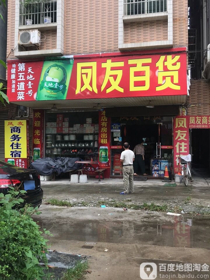 凤友大百