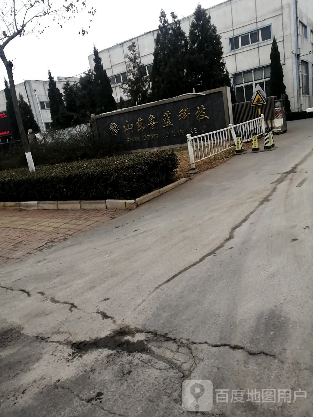 山东鲁蓝科技