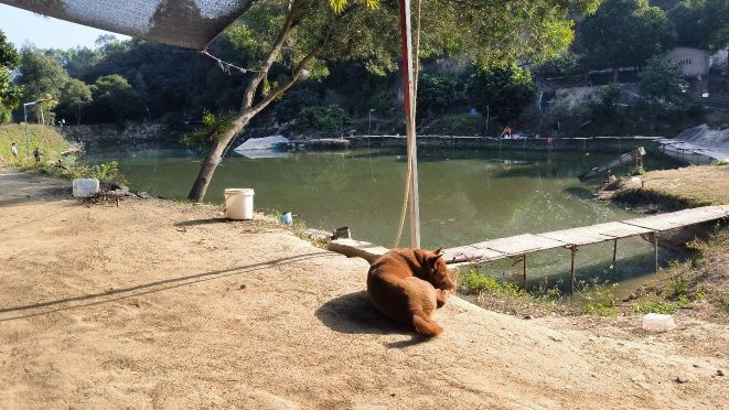 新栎休闲垂钓场