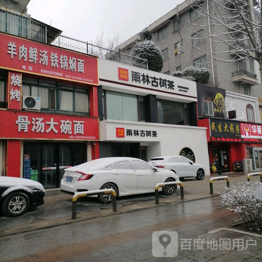 雨林古树茶(学院路店)