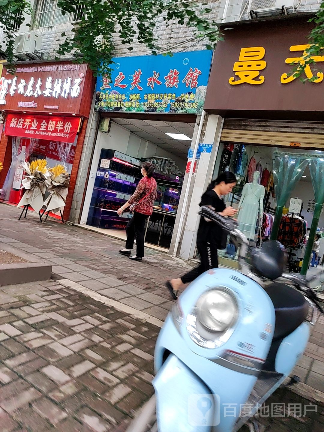 鱼之美水族管
