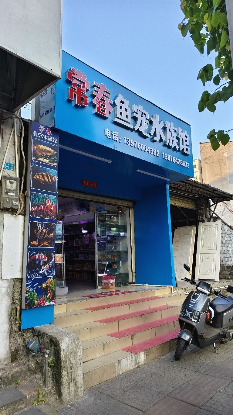 常春鱼宠水族馆