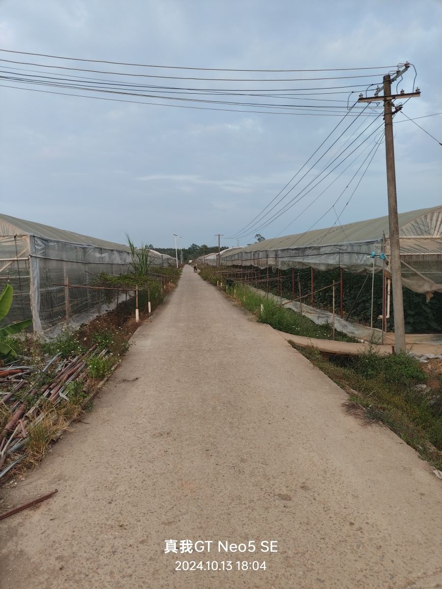 广西美佳临科技有限公司果蔬基地