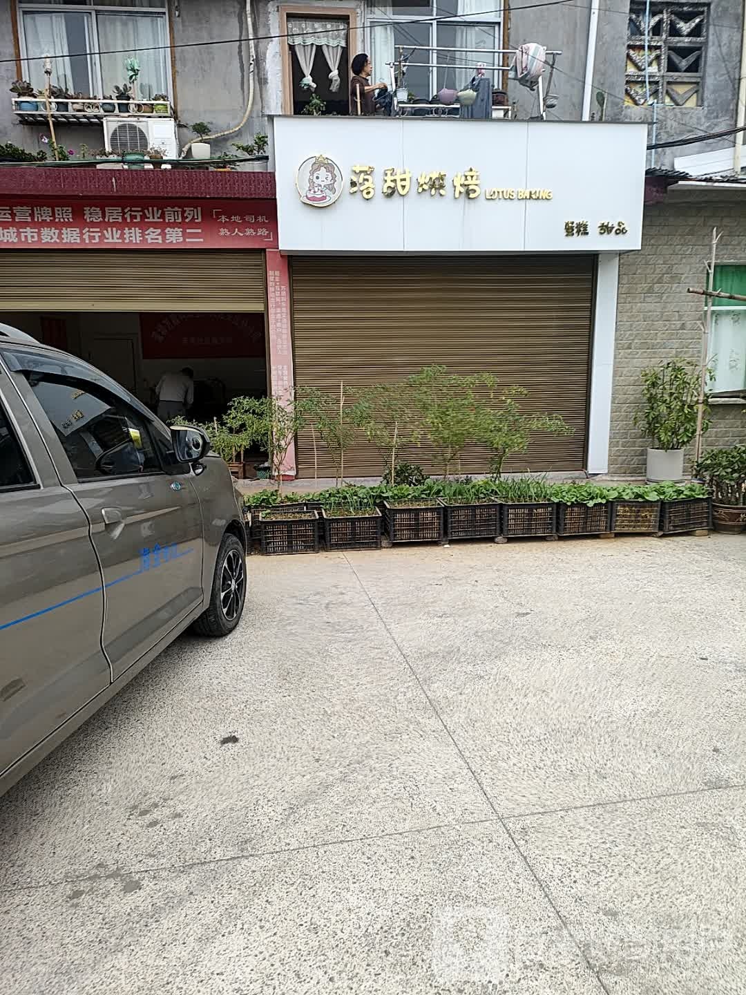 落甜烘焙·纯动物奶油蛋高