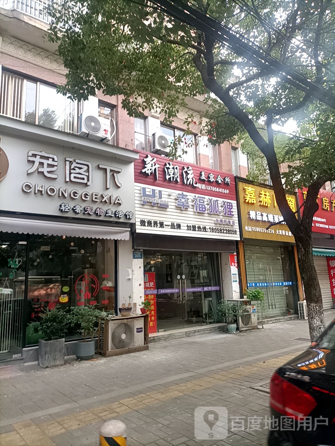 宠阁下轻奢宠物生活馆(江南新城店)