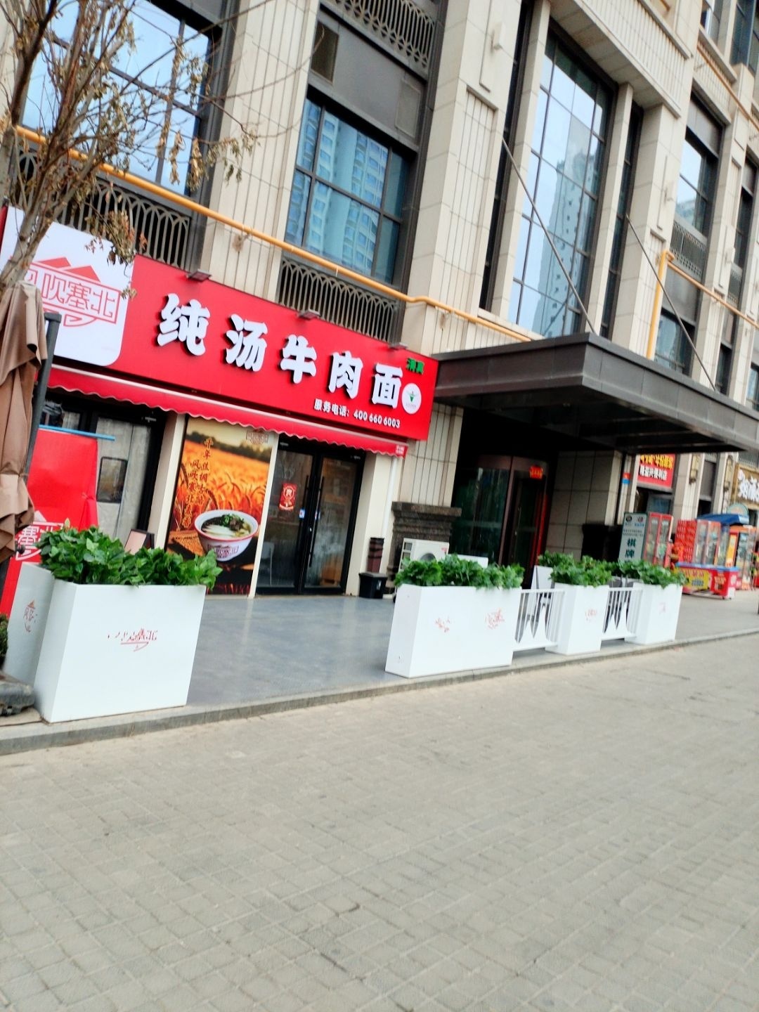 清真纯汤牛肉面