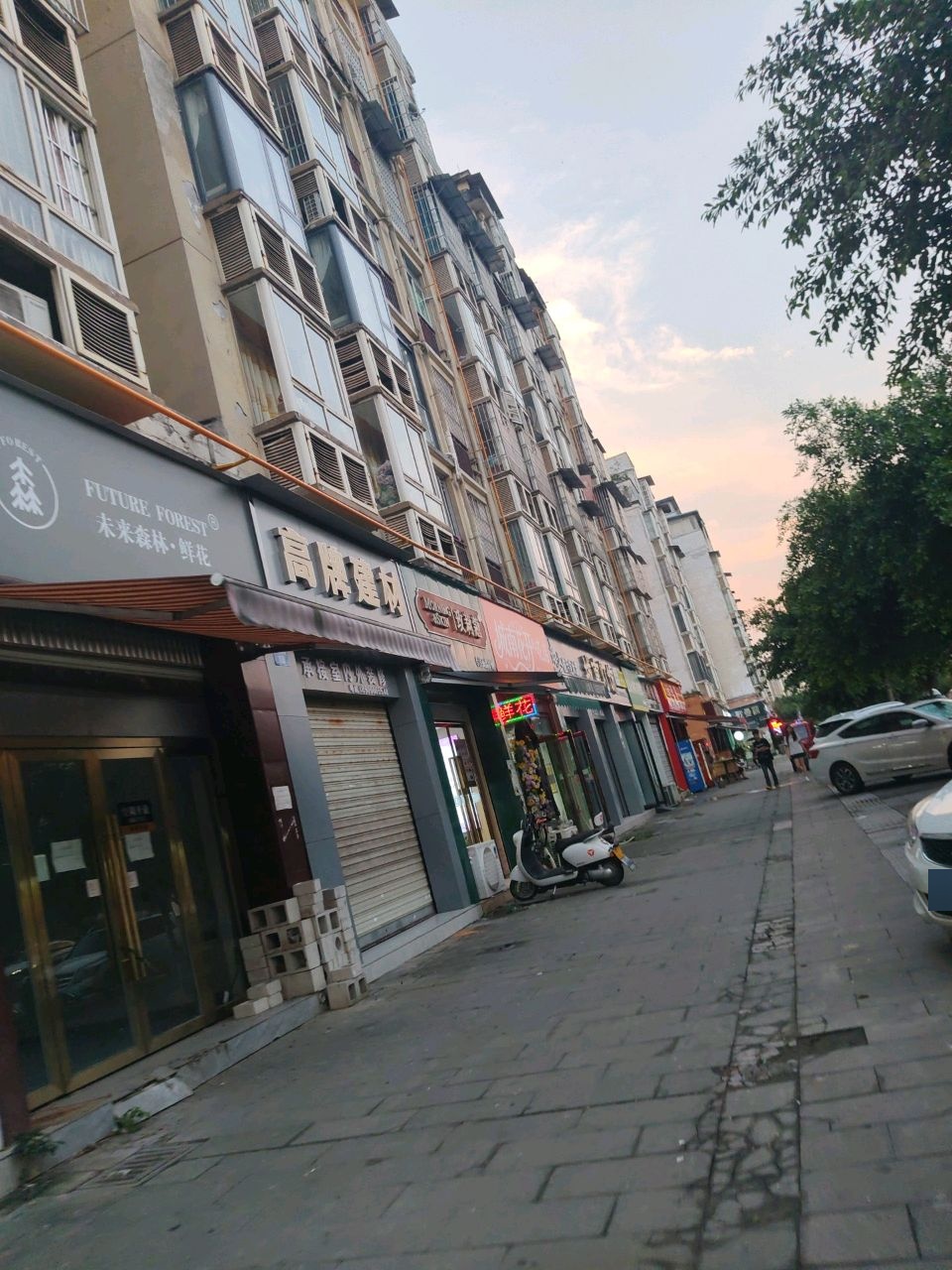 未来森林·鲜花