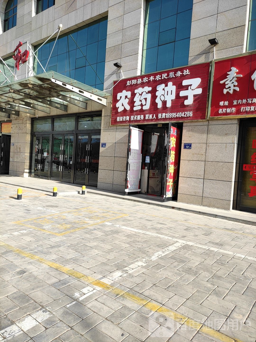 农业种子
