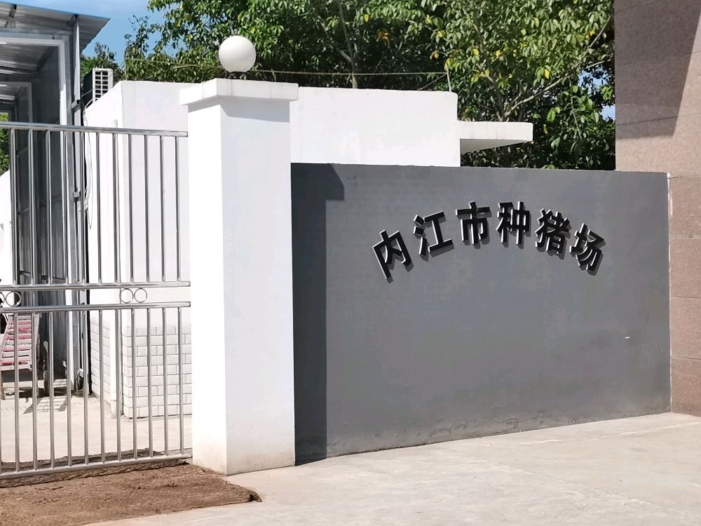 内江市种猪场