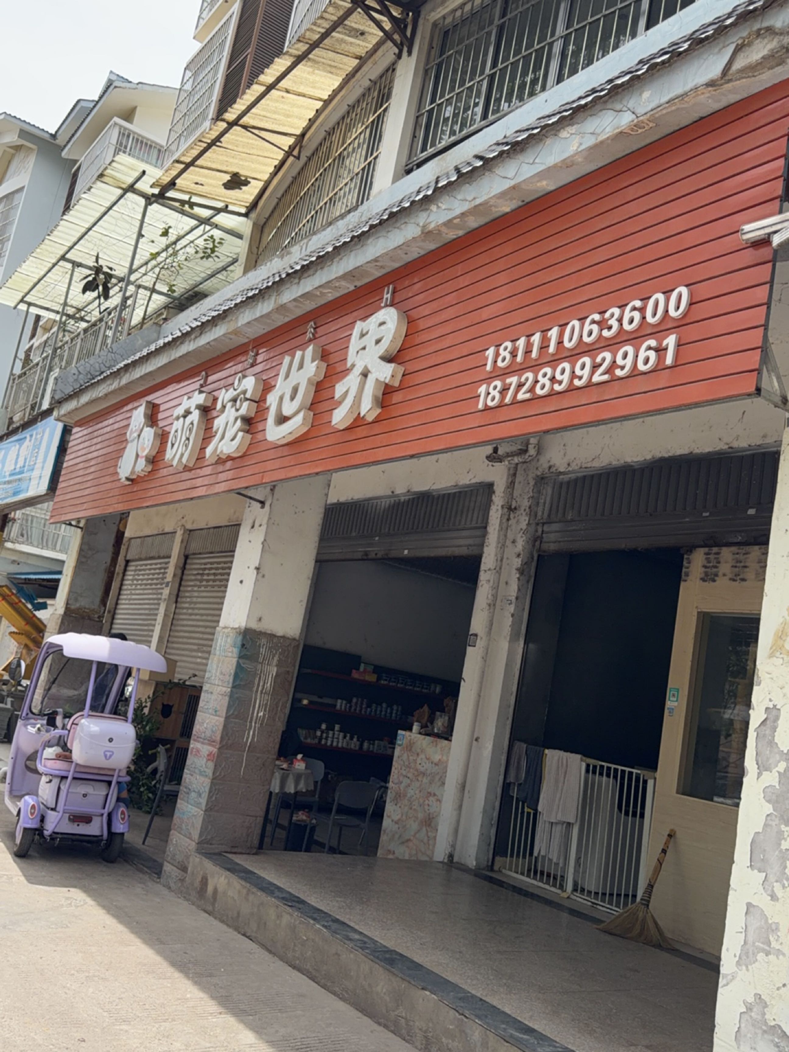 萌宠世界
