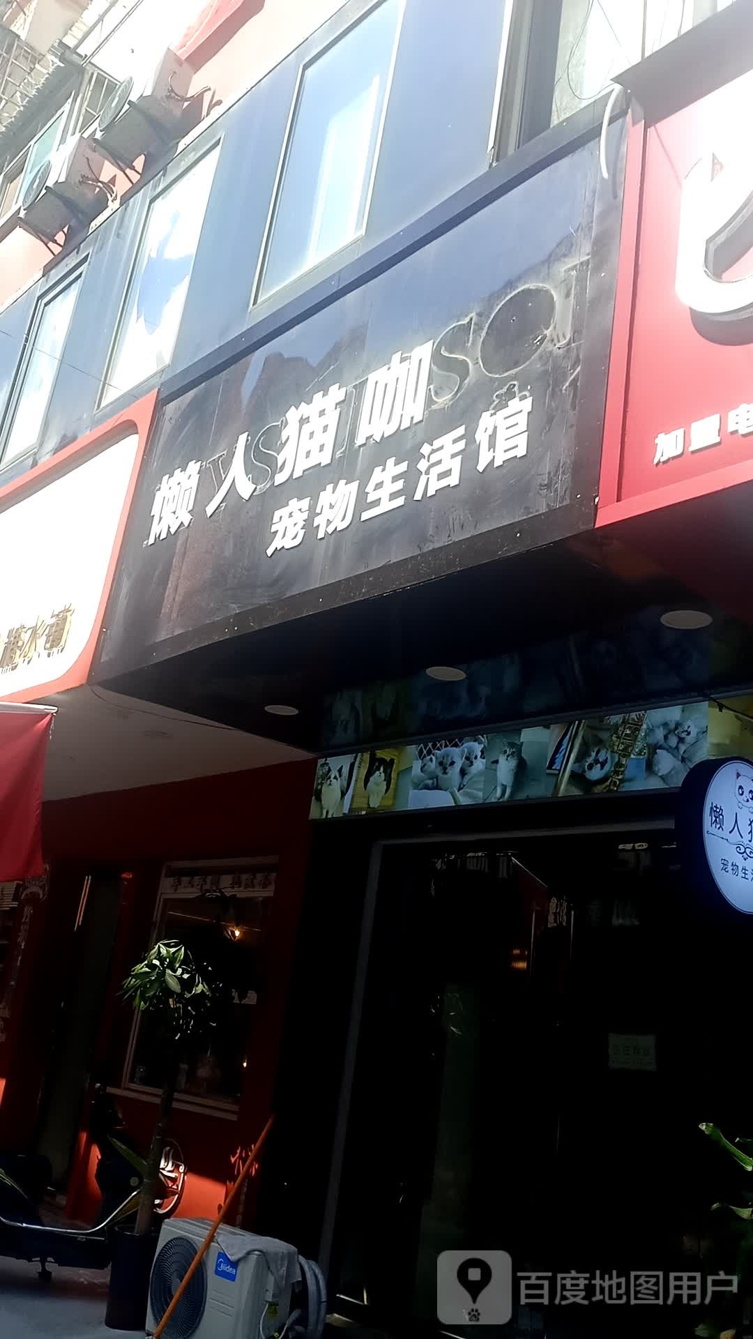 懒人猫咖宠物生活馆