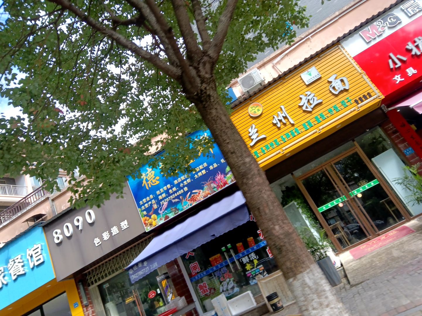 清真兰州拉面(河畔家园店)