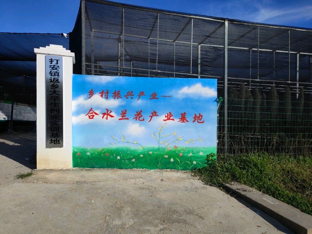 合水兰花基地