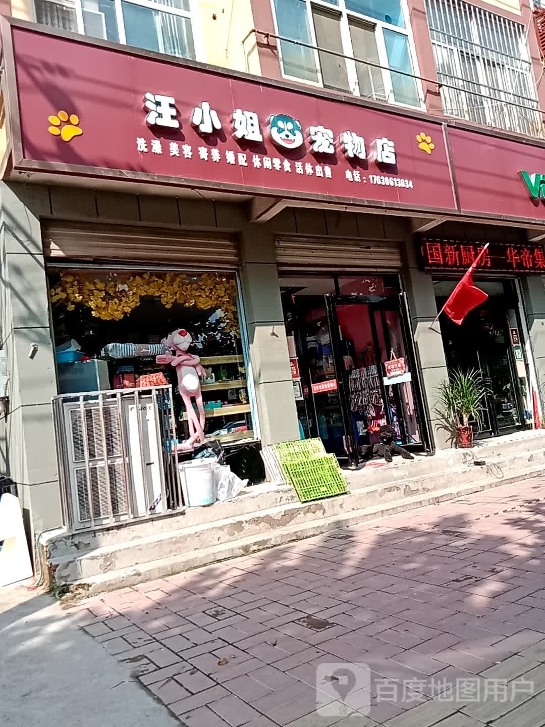 汪小洁宠物店