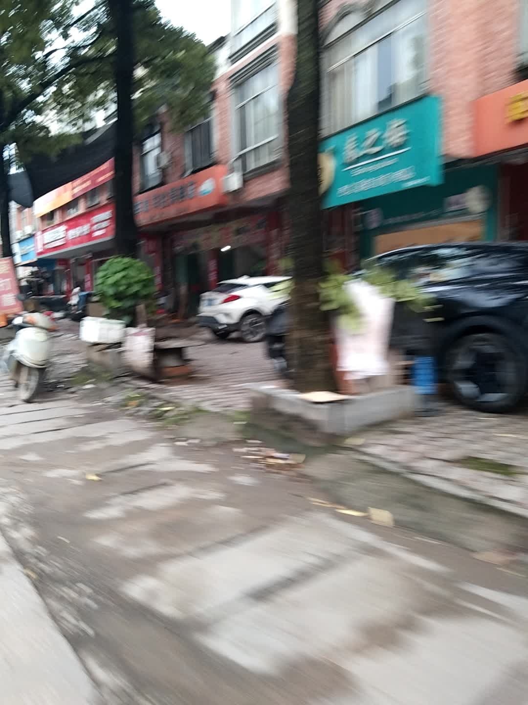 春之梅西点蛋糕面包甜品