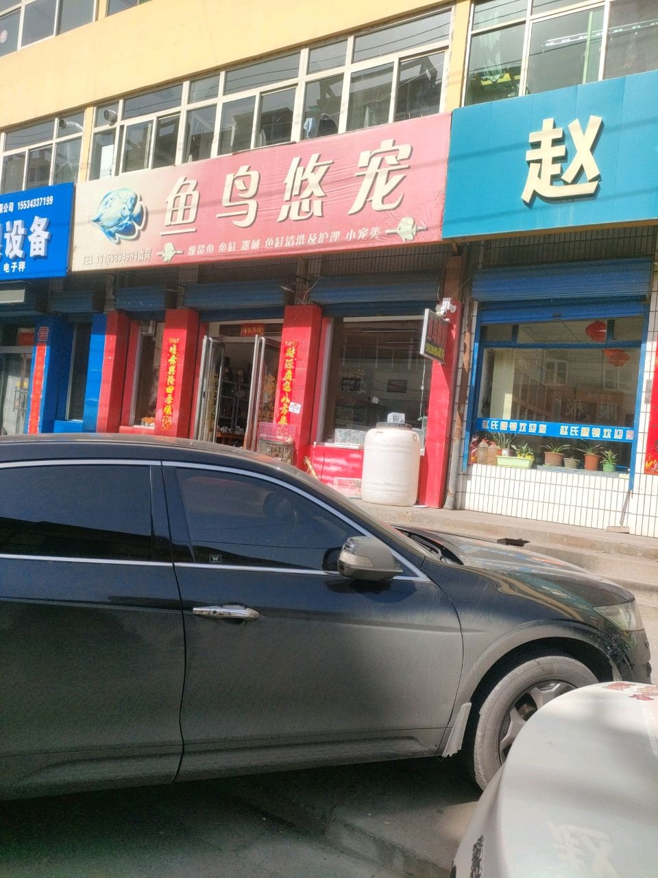 鱼鸟悠宠