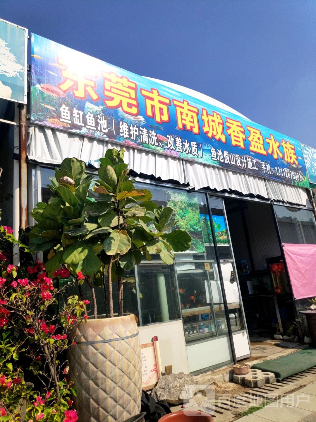 东莞市南城香盈水族(南城花卉世界店)