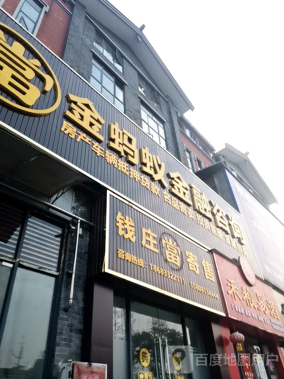 金蚂蚁金融咨询