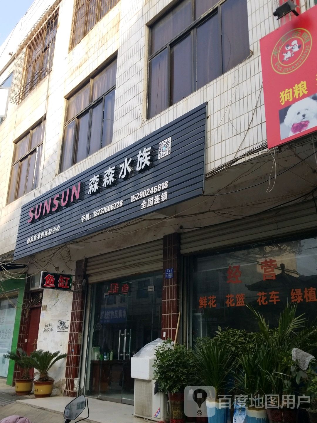 森森水族(众成街店)