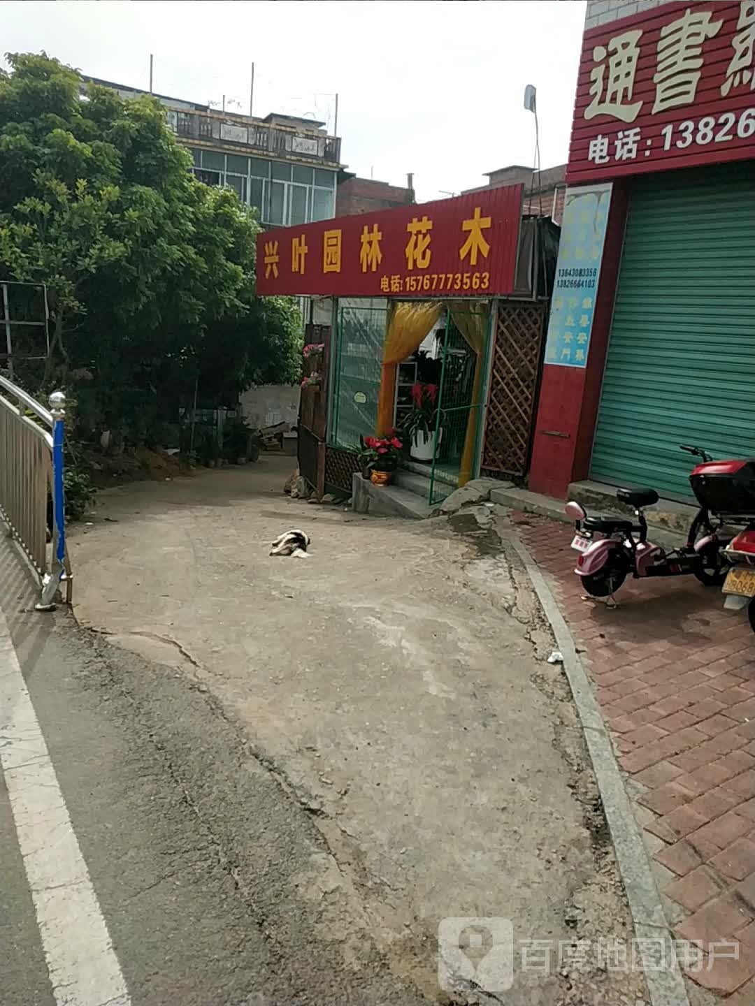 兴叶园林花木