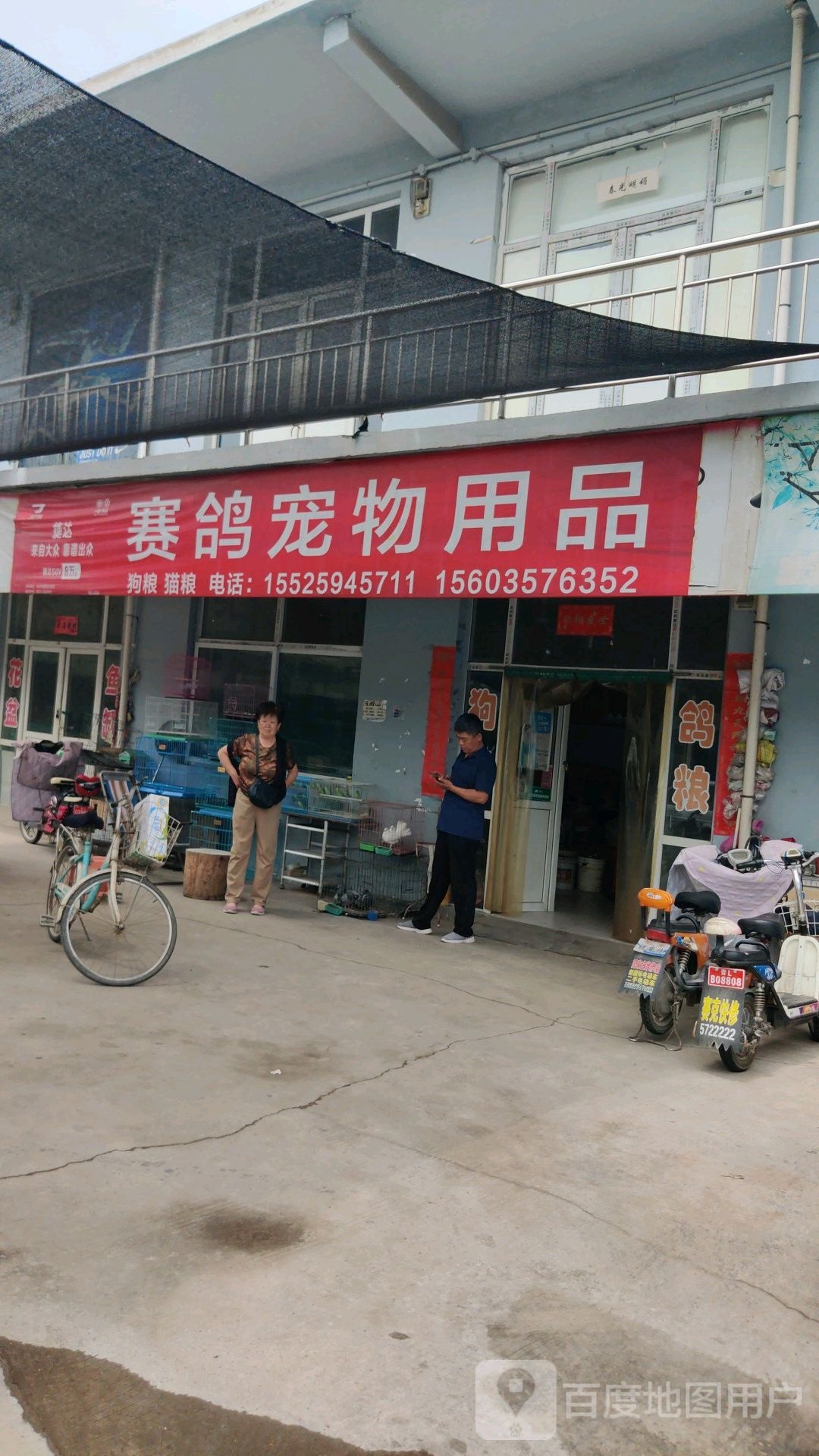 赛鸽宠物用品