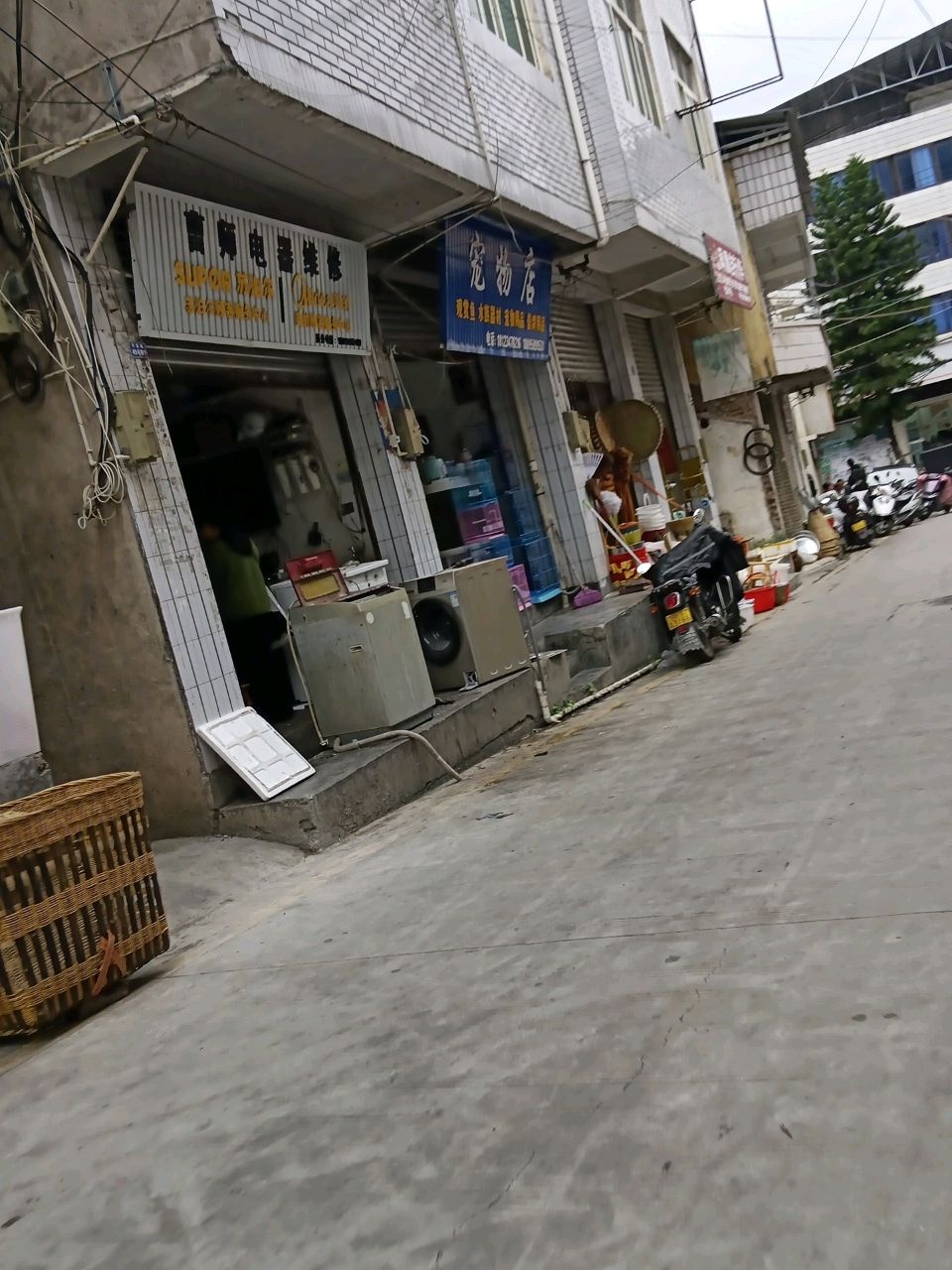 宠物店