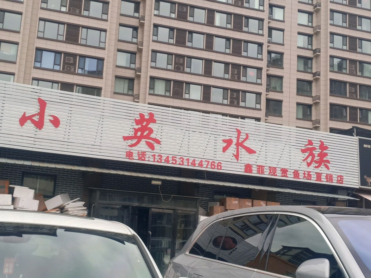 小英水族