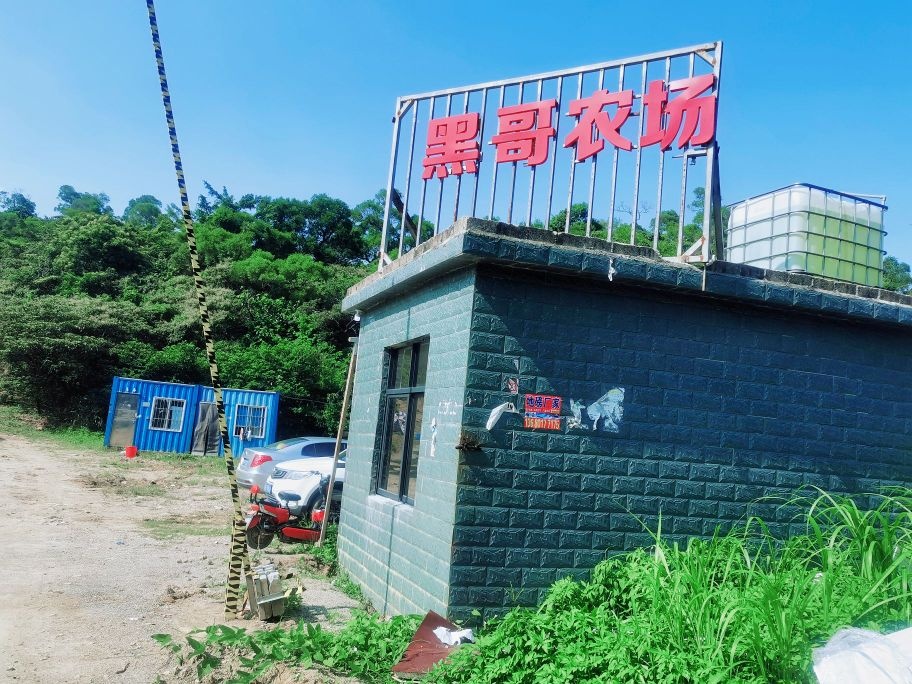 黑哥农场(钓场)
