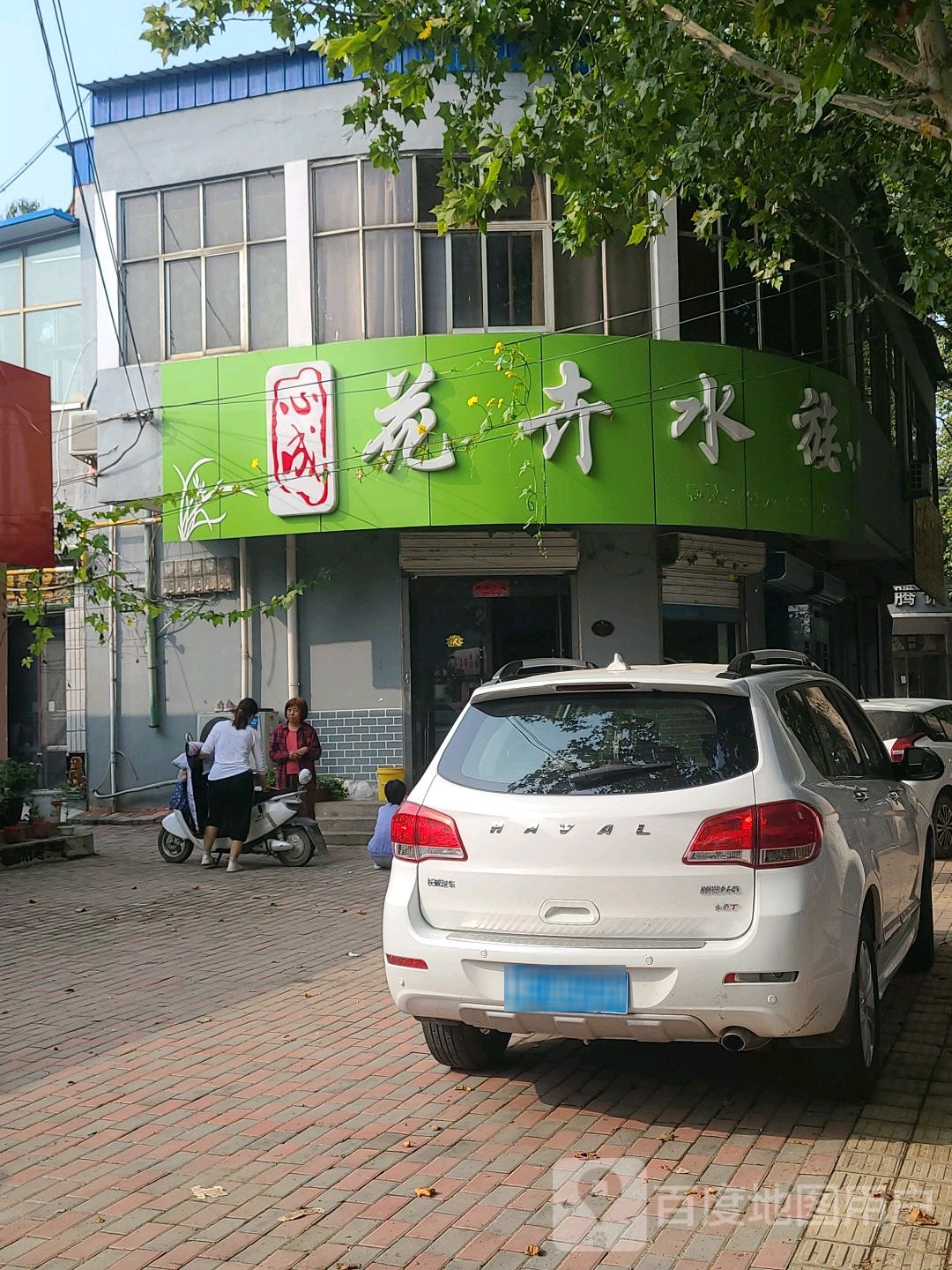 心成花卉水族
