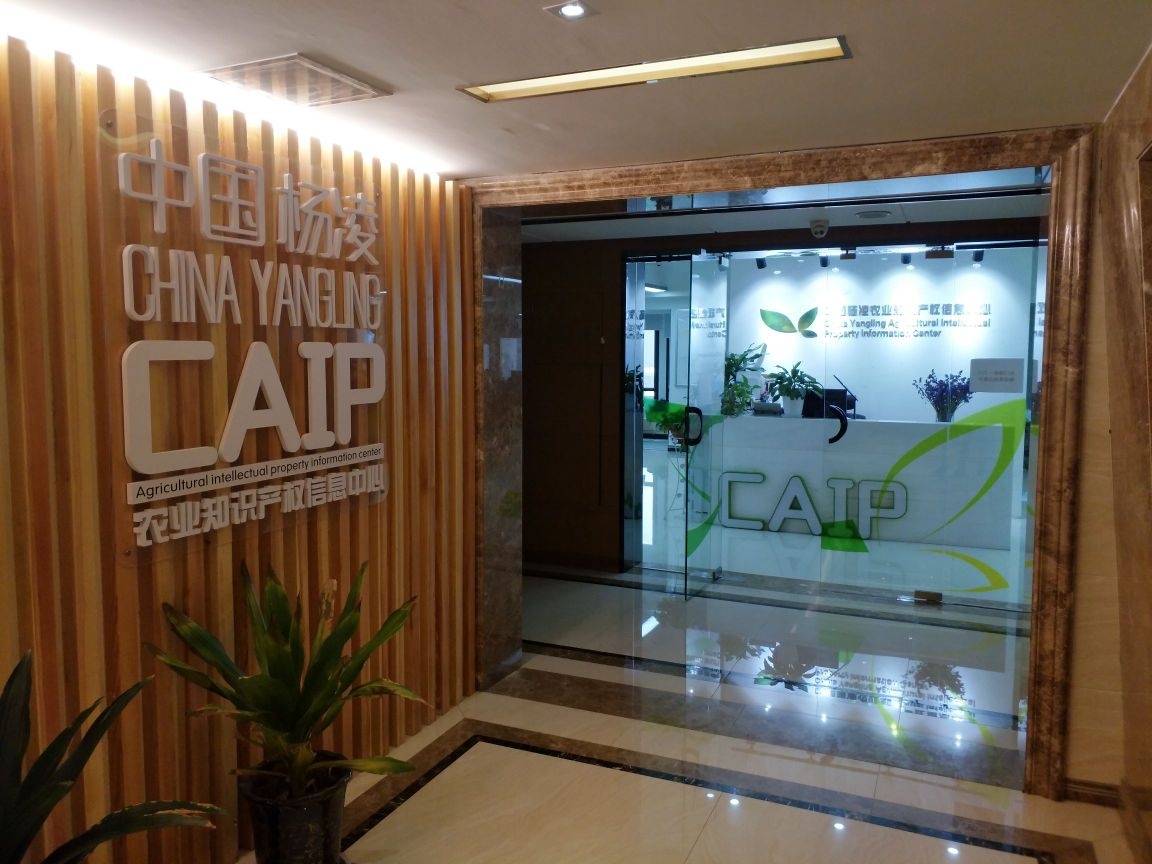 陕西省知识产权信息中心