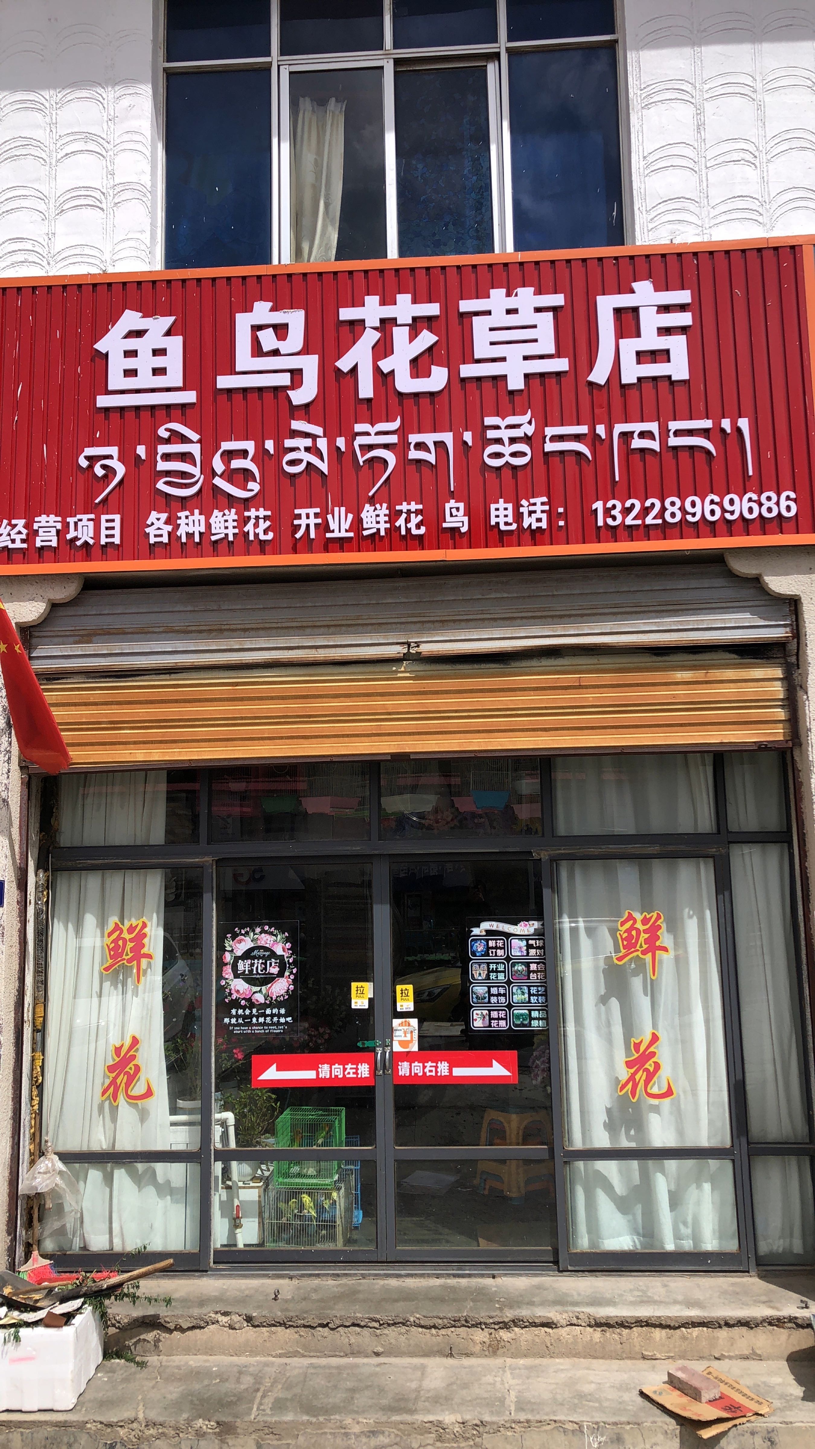 鱼鸟花草店