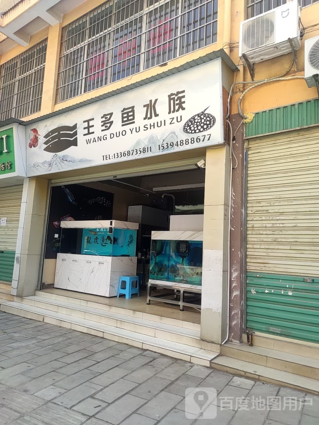 王多鱼水族(凤凰坪店)