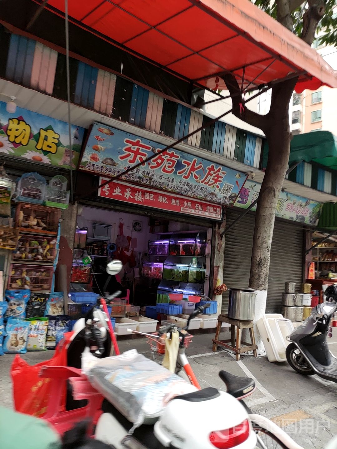 东苑水族