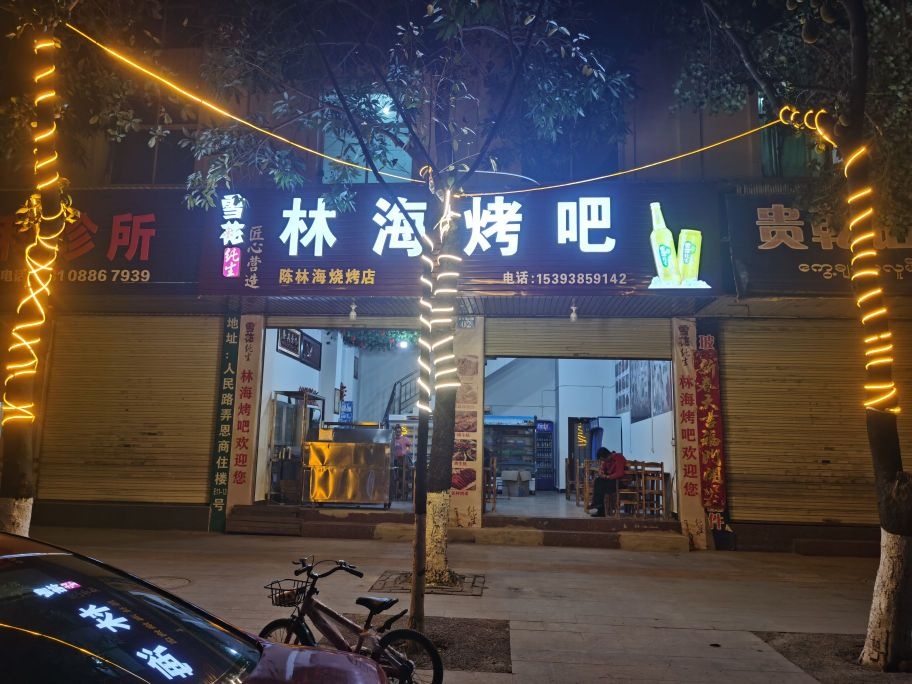 海停车烤吧