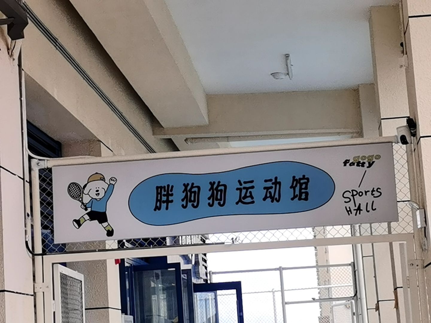三亚胖狗狗运动馆