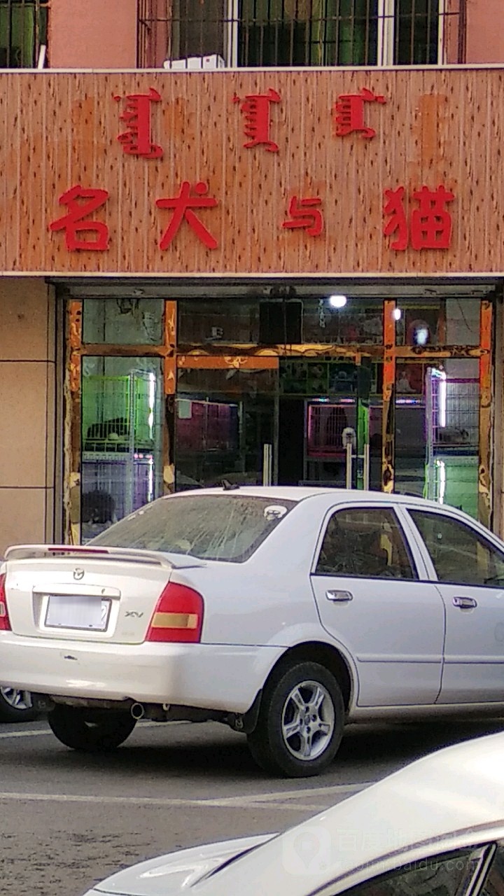 诚信名犬猫(新华桥南街店)