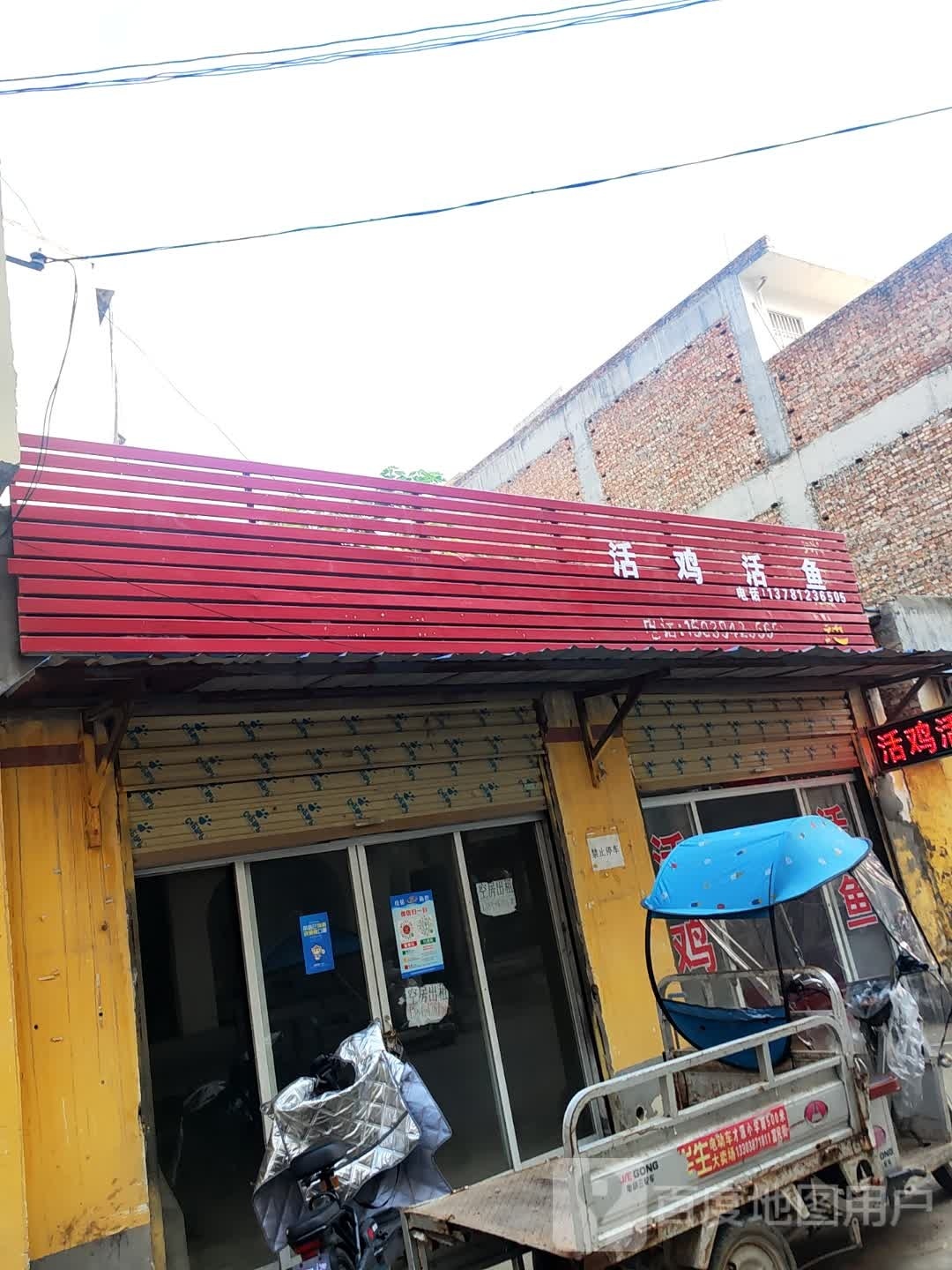 郸城县活鸡活鱼(新华路店)