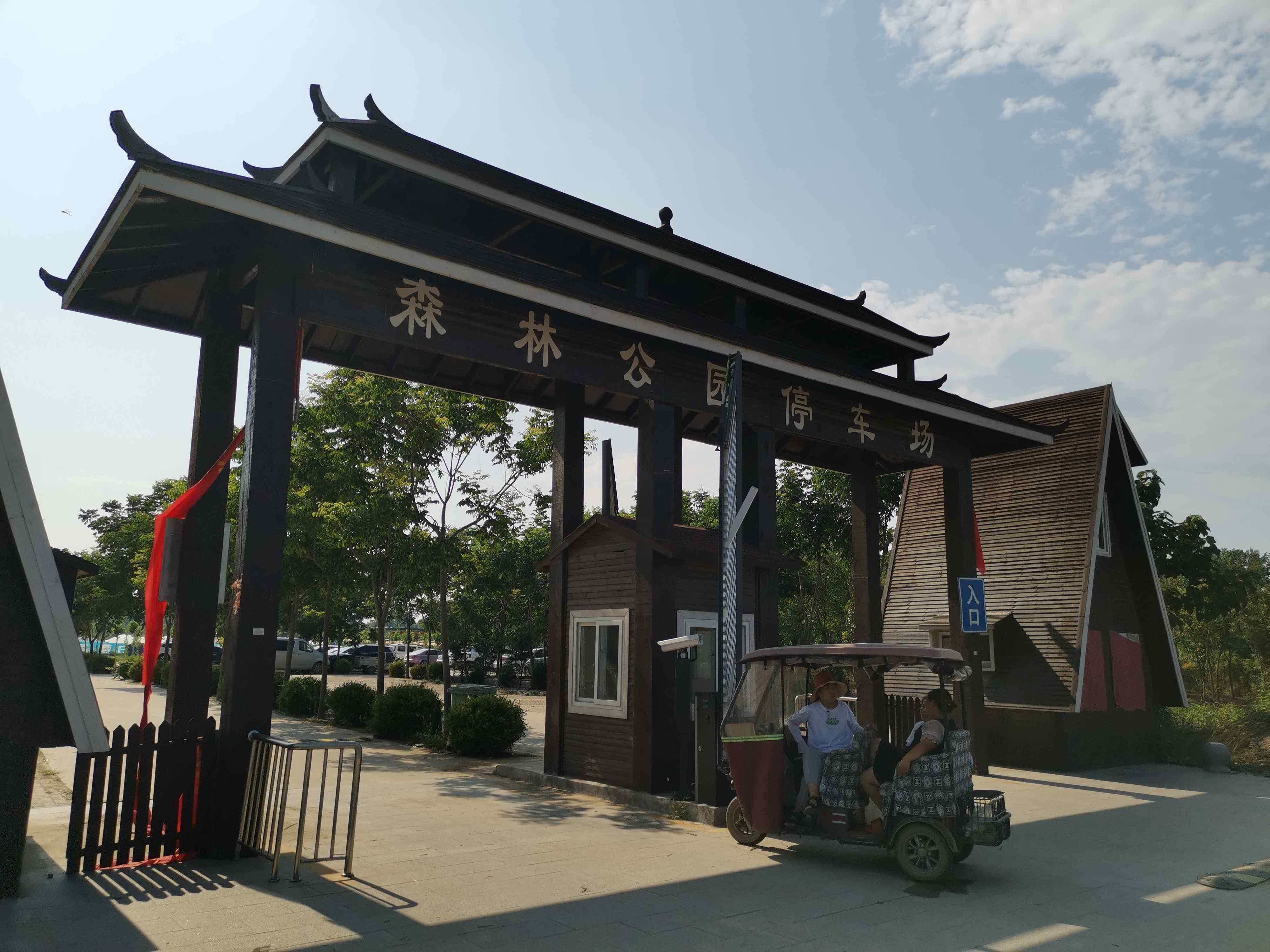 商丘黄河故道国家森林公园-停车场