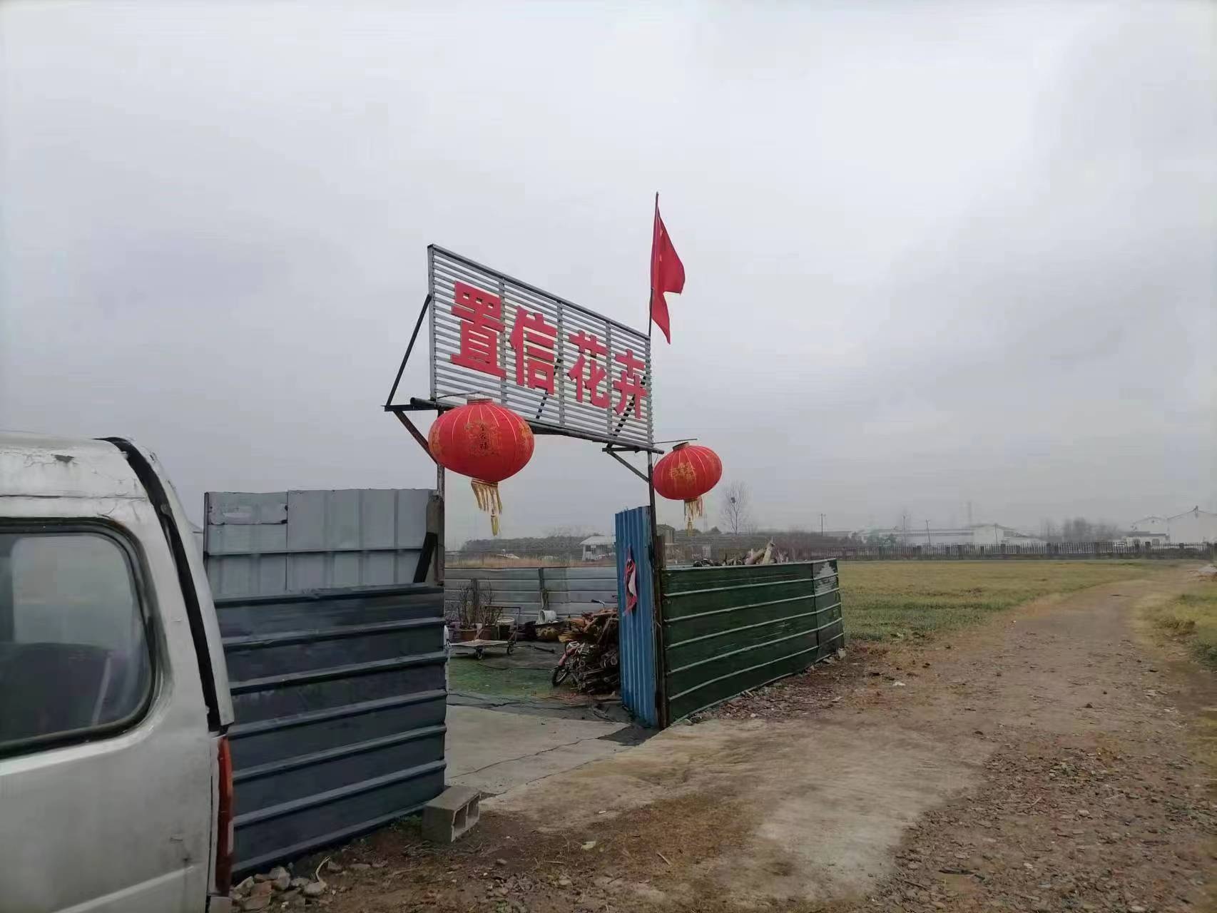 置信花卉