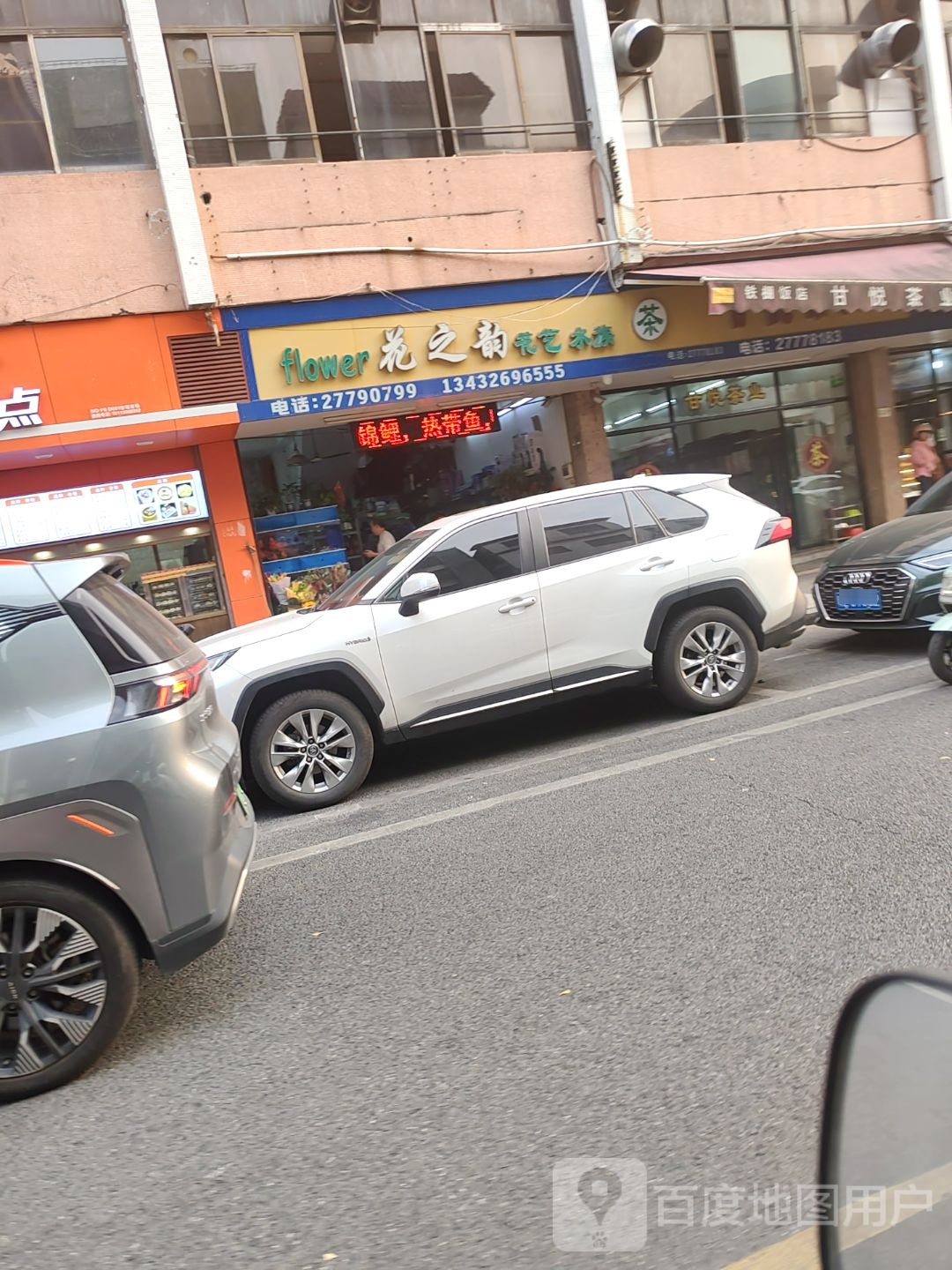 花之韵花艺水族