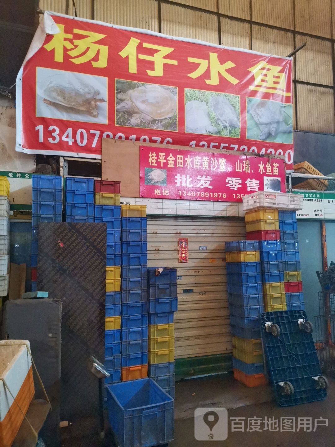 张仔睡产