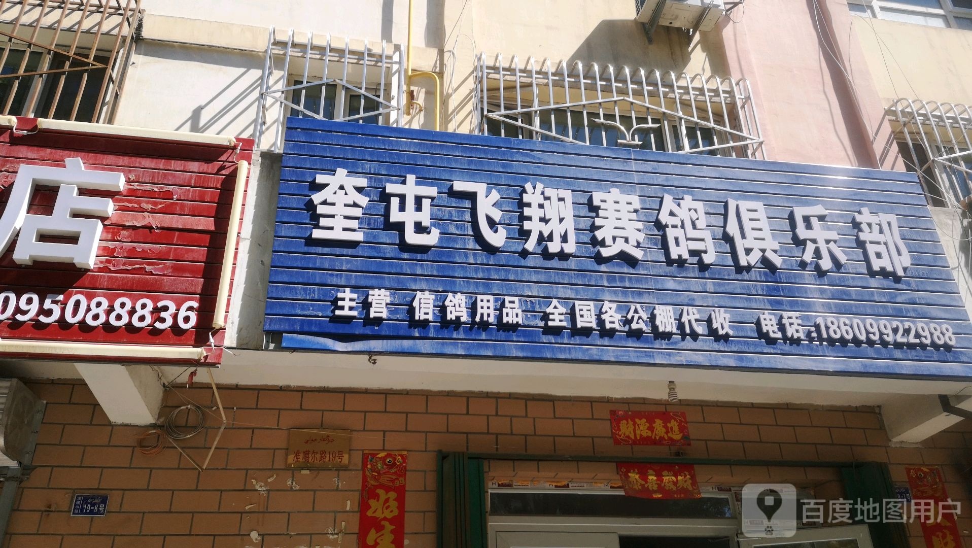 奎屯飞翔赛鸽俱乐部