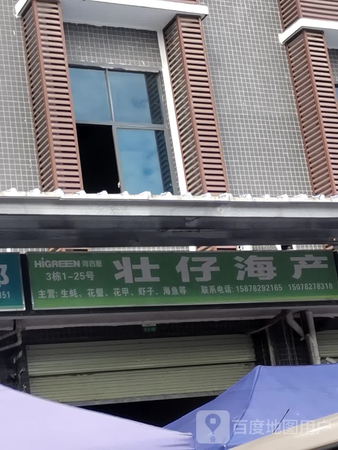 壮仔海参