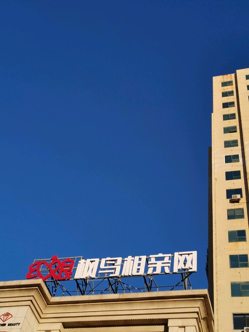 葫芦岛枫鸟相亲网(婚介)
