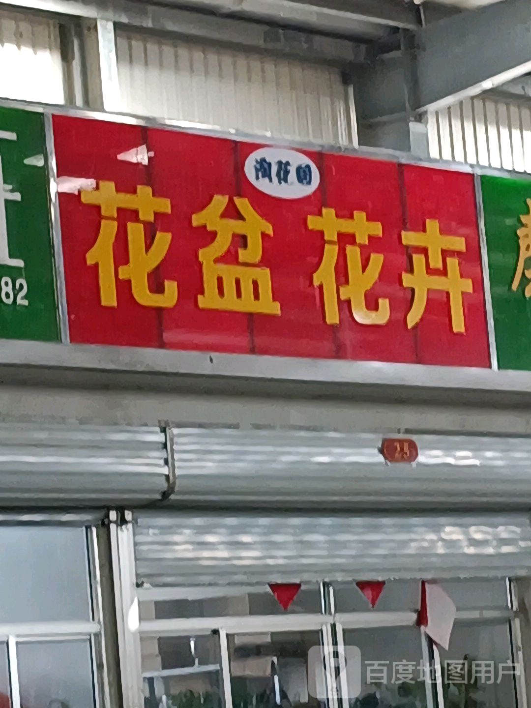 花盆花卉