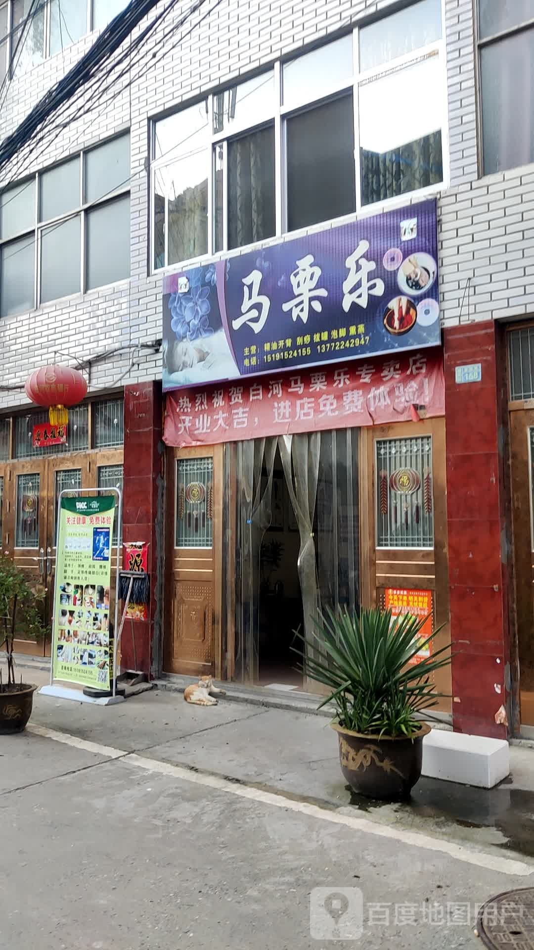 马栗乐(金融路店)