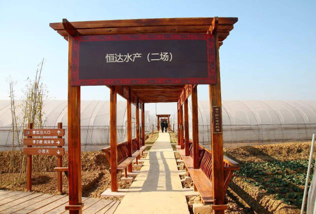 恒达水产(二场)